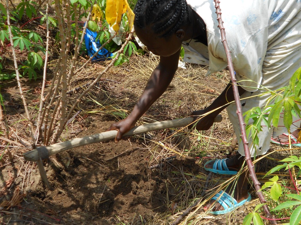 Wau_26_08 146_agricoltura
