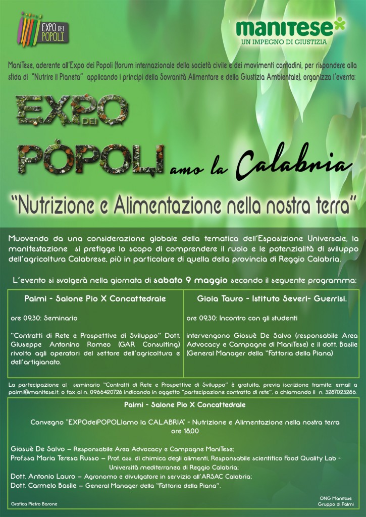 locandina_palmi