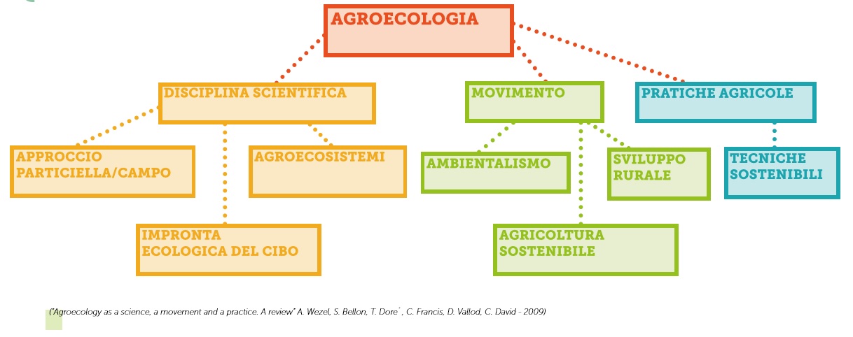 SCHEMA AGROECOLOGIA