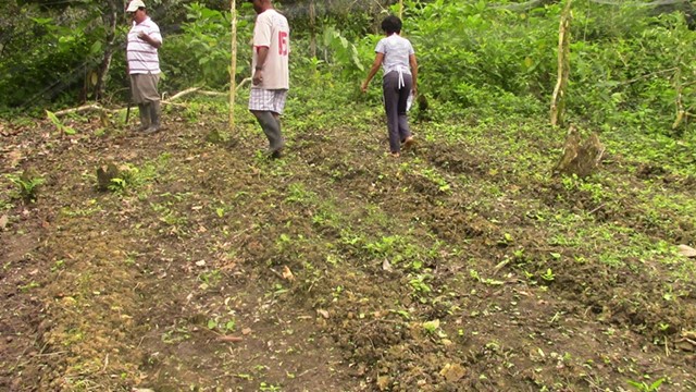 Ecuador_Post_Terremoto_2016_Mani_Tese_4