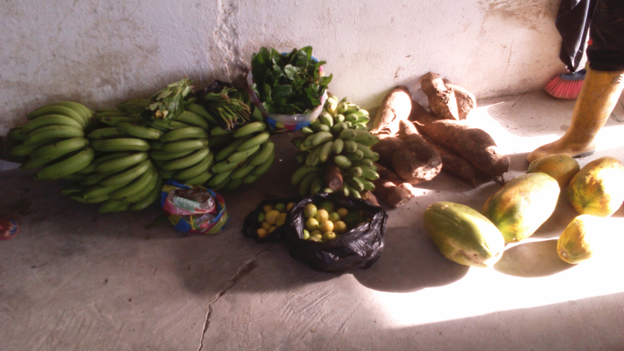 Ecuador6_Mani_Tese_2017