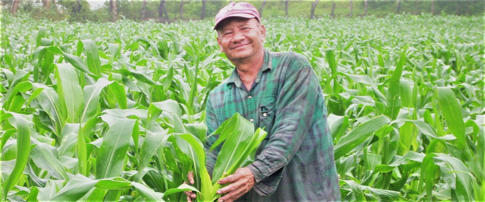 Contadino_Campo_Nicaragua_Mani_Tese_2017