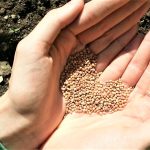 Un Manifesto dei giovani per trasformare i sistemi alimentari