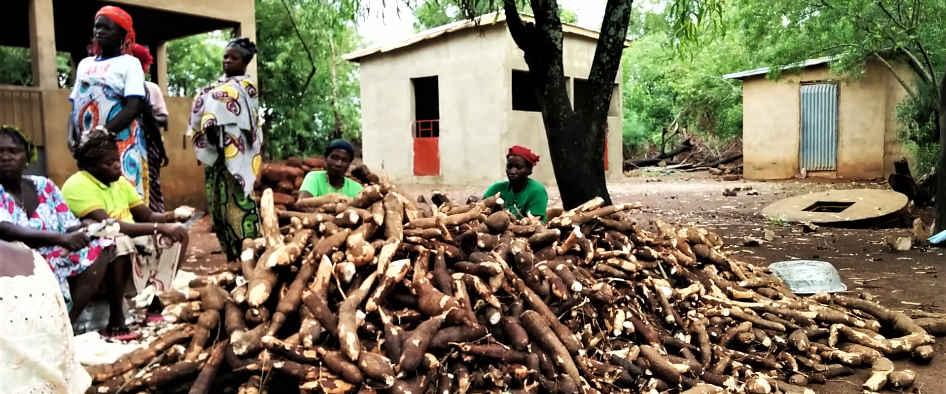 Manioca Benin Mani Tese 2017
