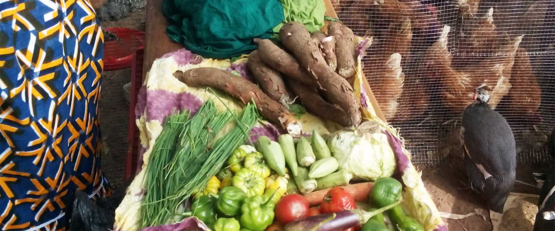 verdure polli fiera avicoltura Guinea Bissau Mani Tese 2018