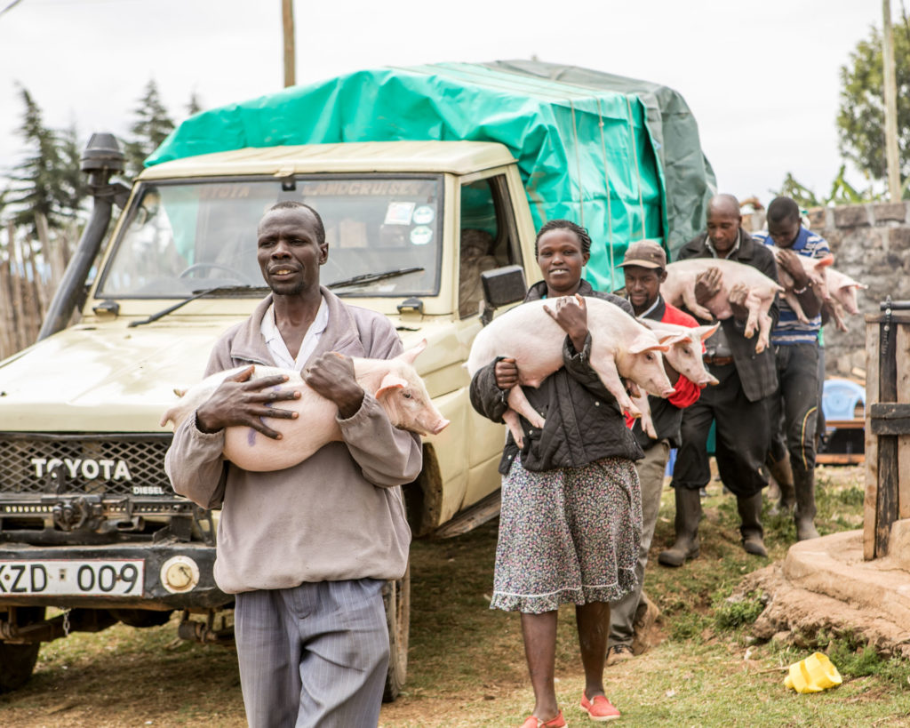 Njoroge Kenya Mani Tese 2018 (3)