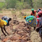La coltivazione del riso in Burkina Faso