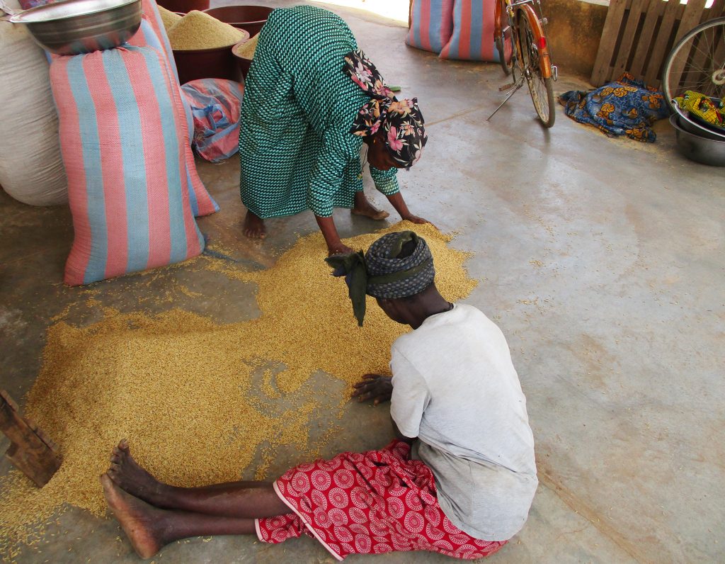 preparazione riso trasformazione donne Burkina Faso Mani Tese 2018