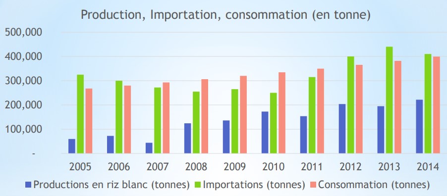produzione importazione consumo riso Burkina Faso Mani Tese 2018