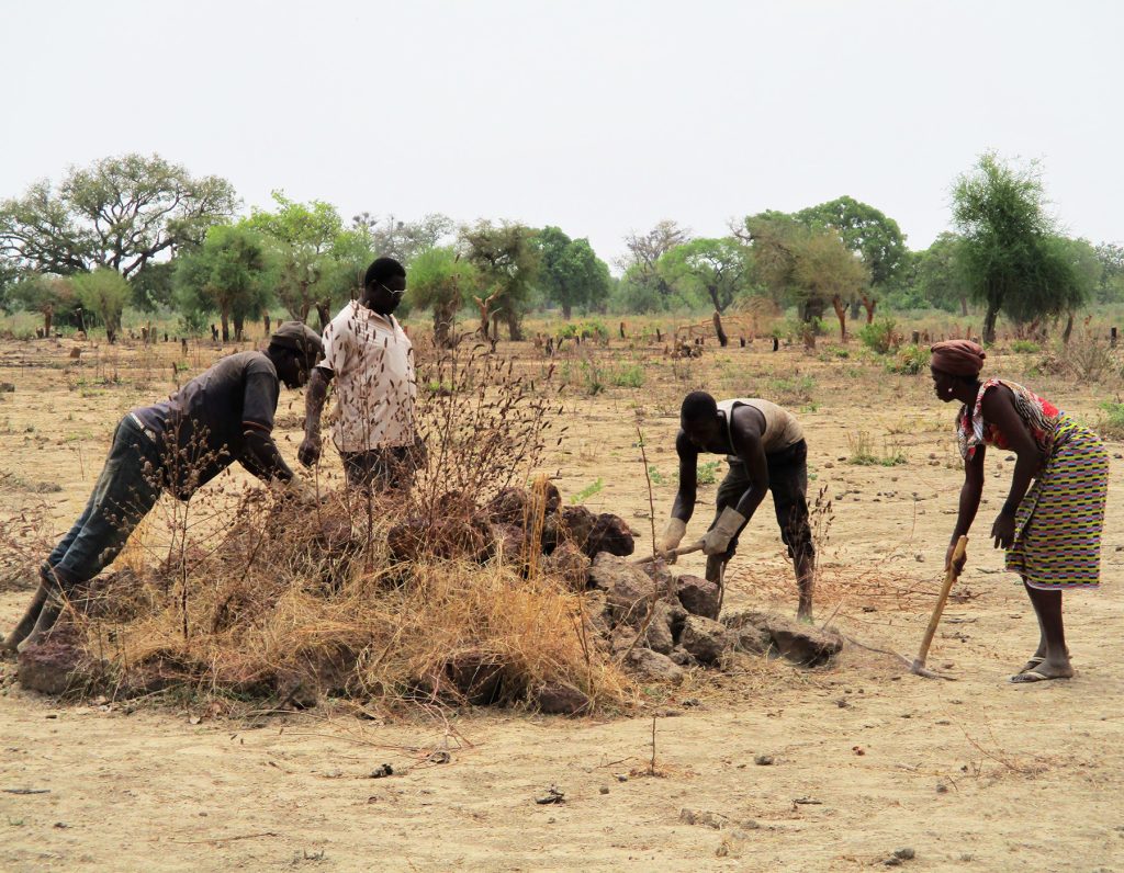 raccolta pietre dighe risaia Burkina Faso Mani Tese 2018