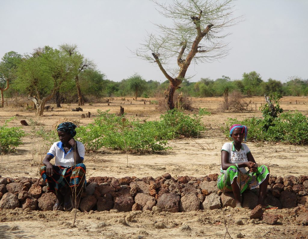 sistemazione risaia donne riso Burkina Faso Mani Tese 2018