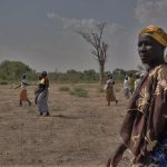 BURKINA FASO E SVILUPPO RURALE: TRE STORIE DI DONNE IN UN VIDEO