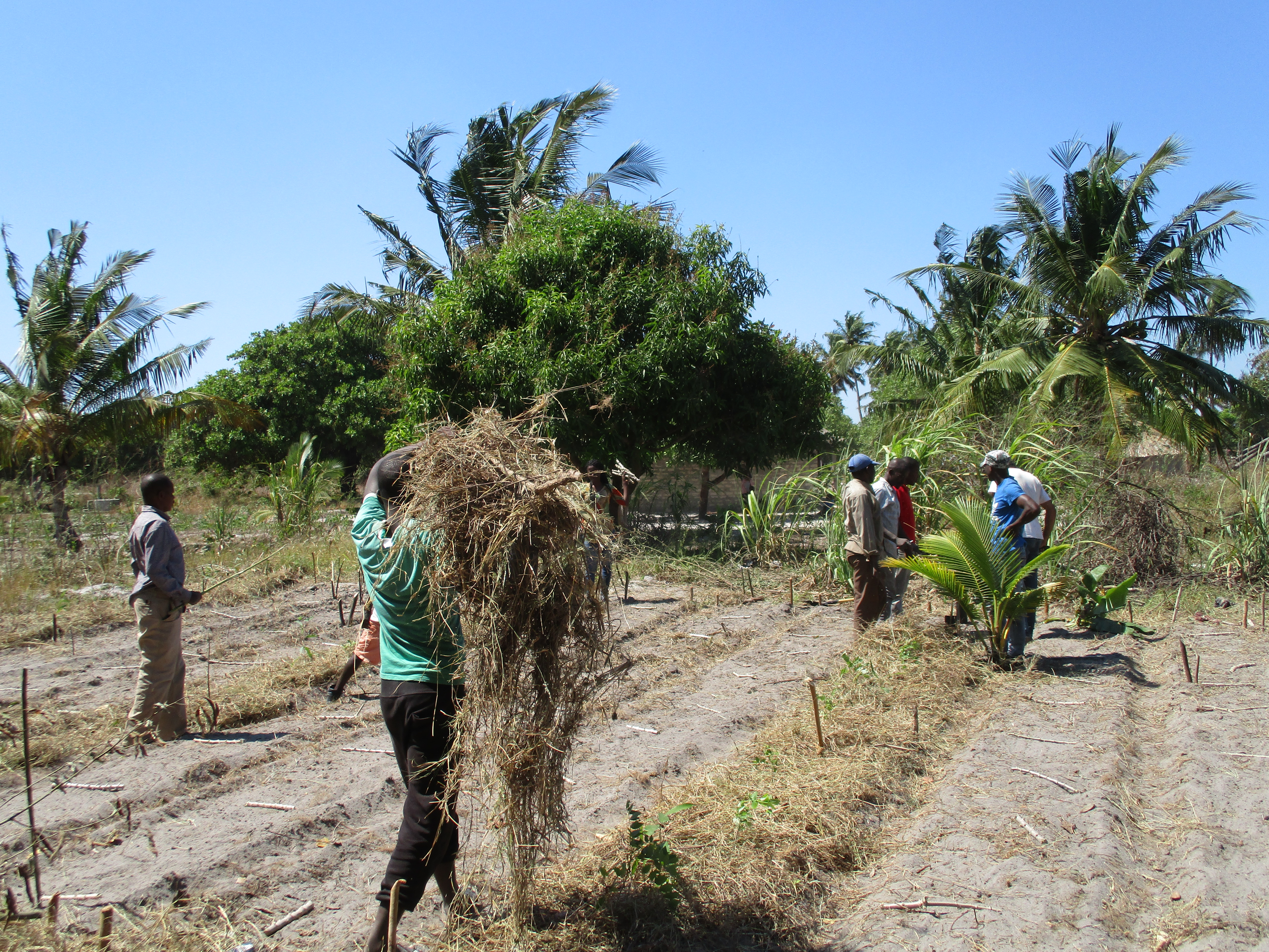 copertura terreno_mozambico_mani tese_2018