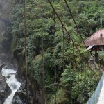 LE CONTRADDIZIONI DELL’ECUADOR: BIODIVERSITÀ, CACAO E SFRUTTAMENTO