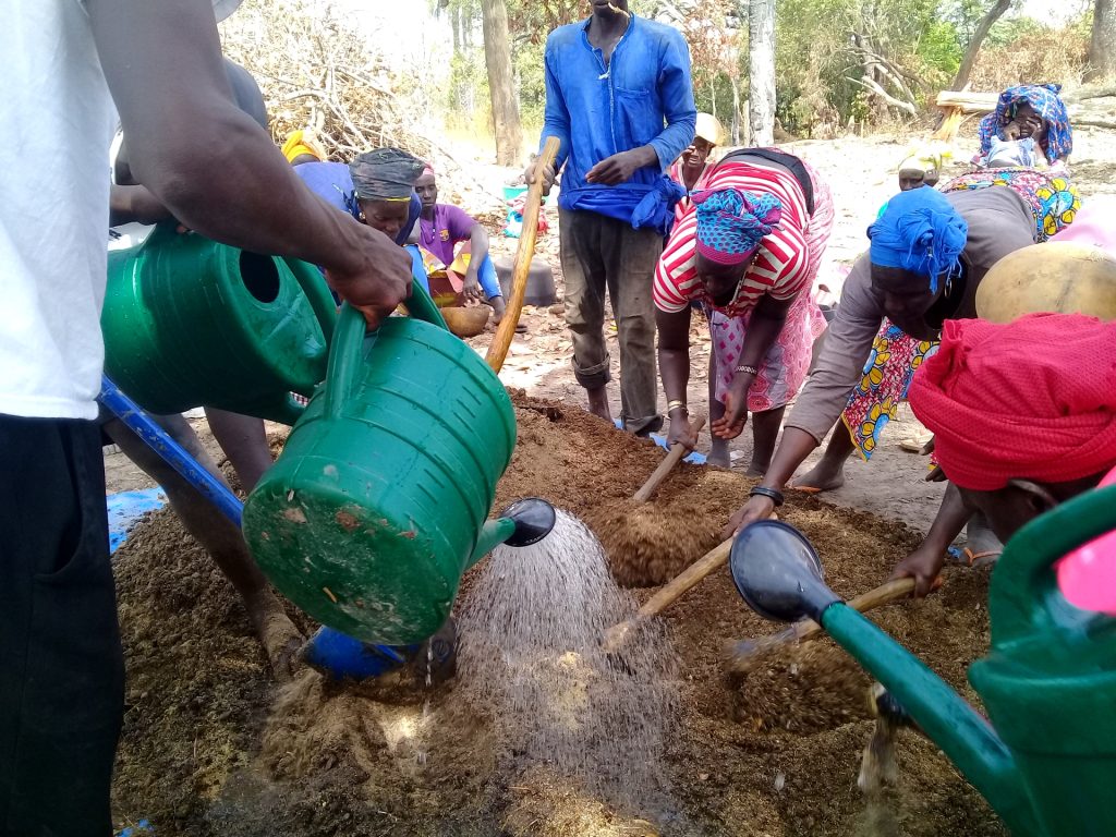 formazione agroecologia orti comunitari Guinea-Bissau Mani Tese 2019 (2)