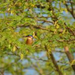 mazingira tour kenya mani tese 2018 (1)