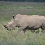 mazingira tour kenya mani tese 2018 (10)