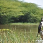 mazingira tour kenya mani tese 2018 (19)