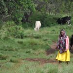 mazingira tour kenya mani tese 2018 (7)
