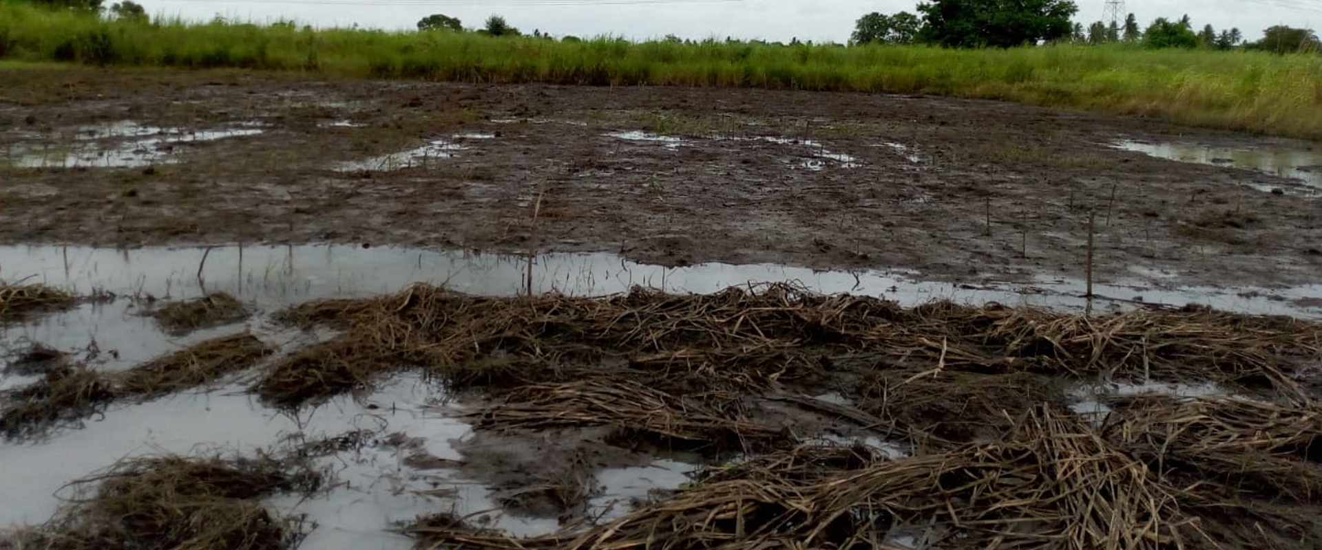 mozambico danni marzo 2019 mani tese