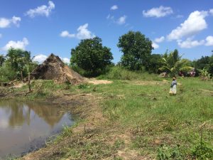 fiume licuar inondazione danni mozambico mani tese 2019