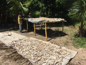 manioca marcia essiccazione emergenza mozambico mani tese 2019
