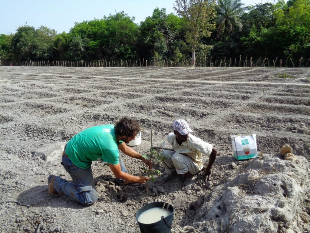 Quelimane Agricola mani tese 2019 (1)