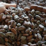 Alla scoperta del cacao buono… per davvero!