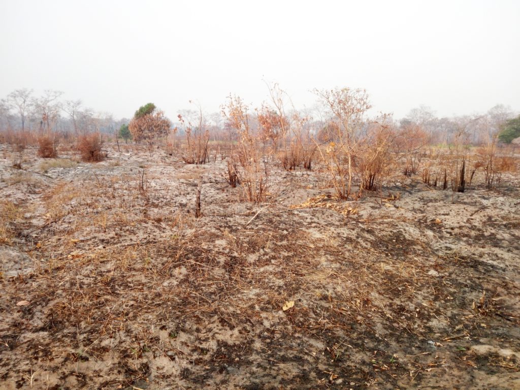 mozambico cambiamenti climatici mani tese 2019 (3)