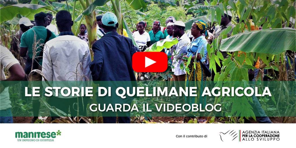 quelimane agricola videoblog mozambico mani tese 2019 3