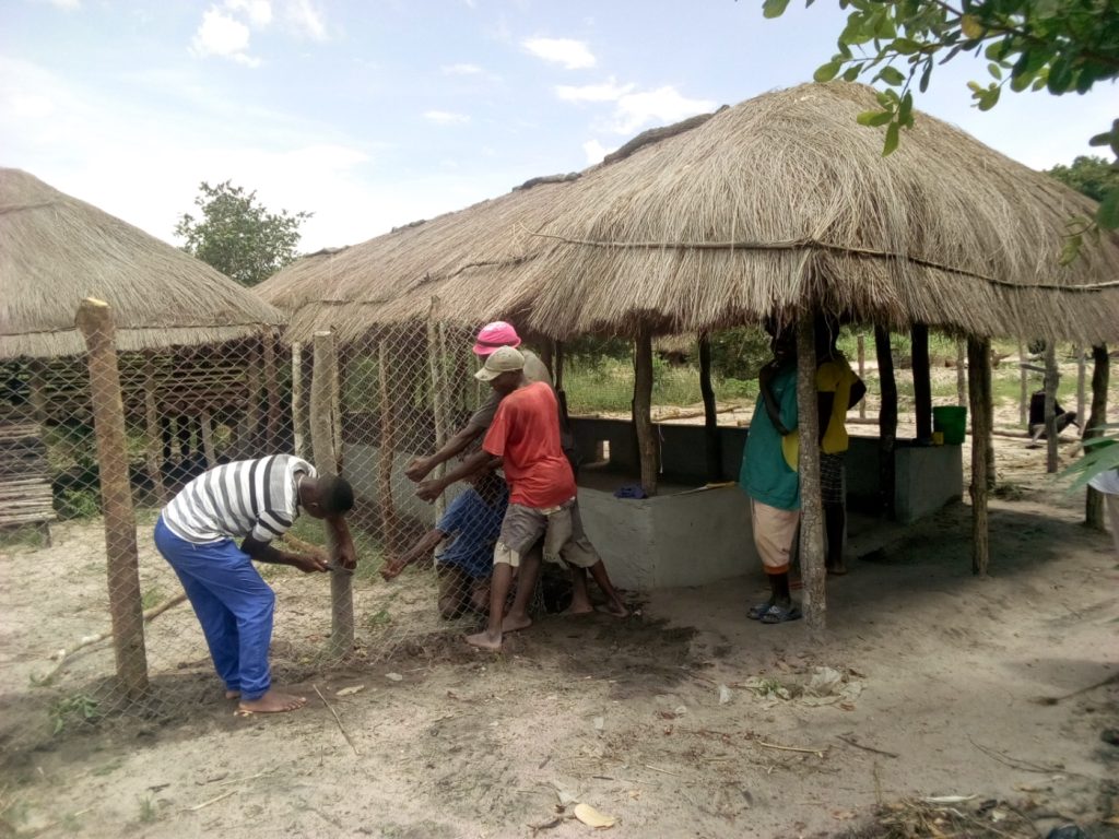 recinzione capre nialene mozambico mani tese 2019