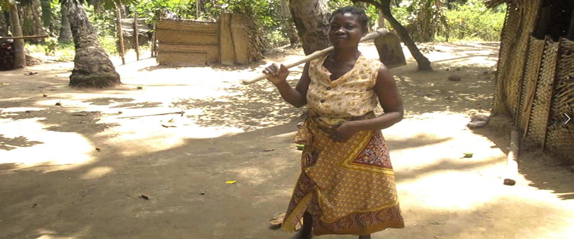 teadora videoblog quelimane agricola mozambico mani tese 2019