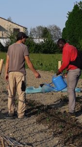 integrazione orto sociale finale emilia mani tese 2019 (8)