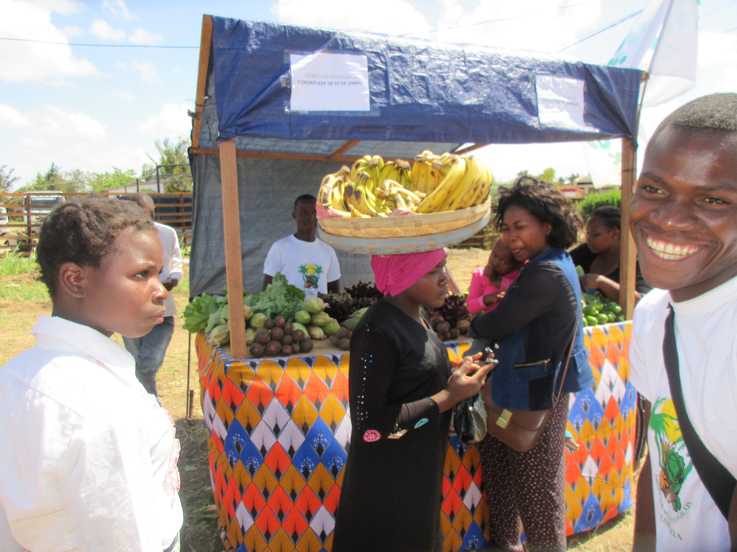 feira mozambico mani tese 2019