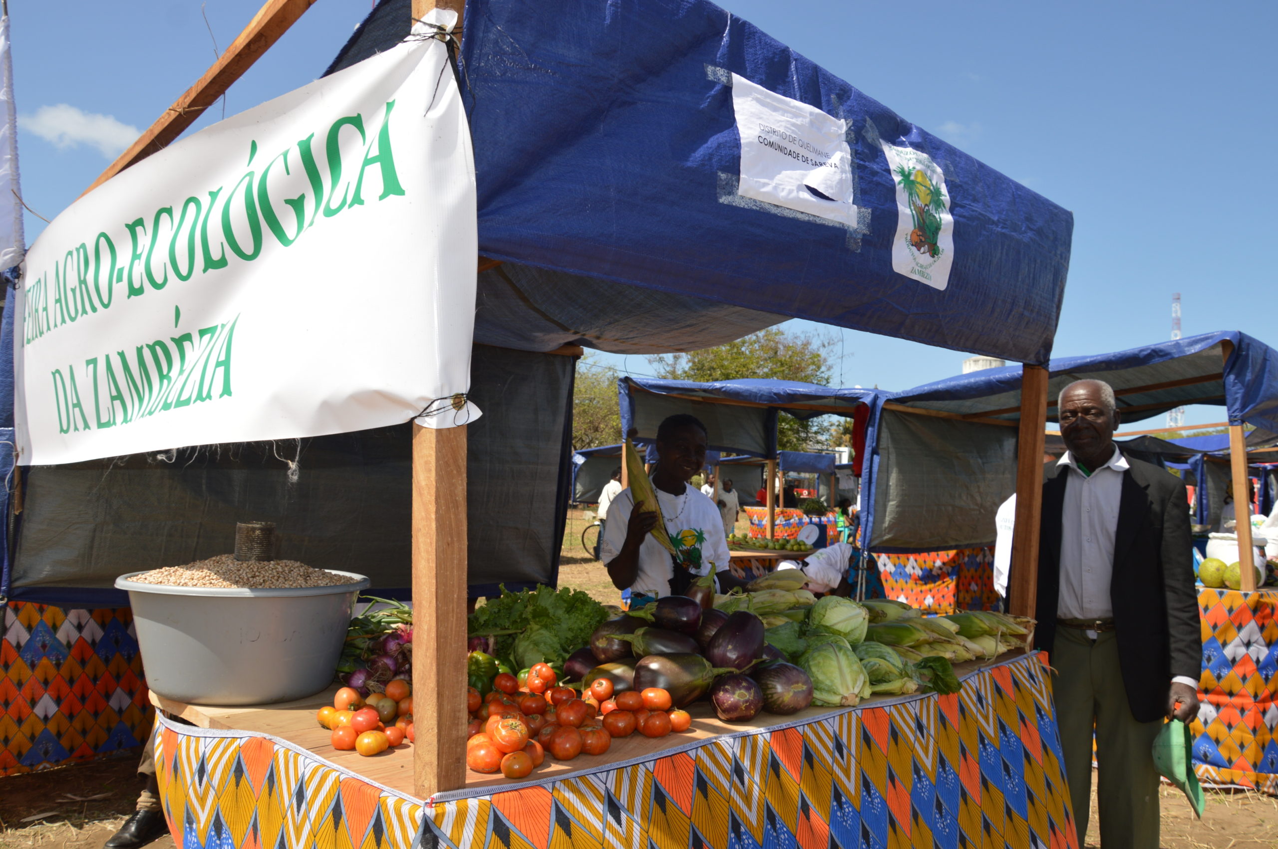 feira agroecologica mozambico mani tese 2019 (2)