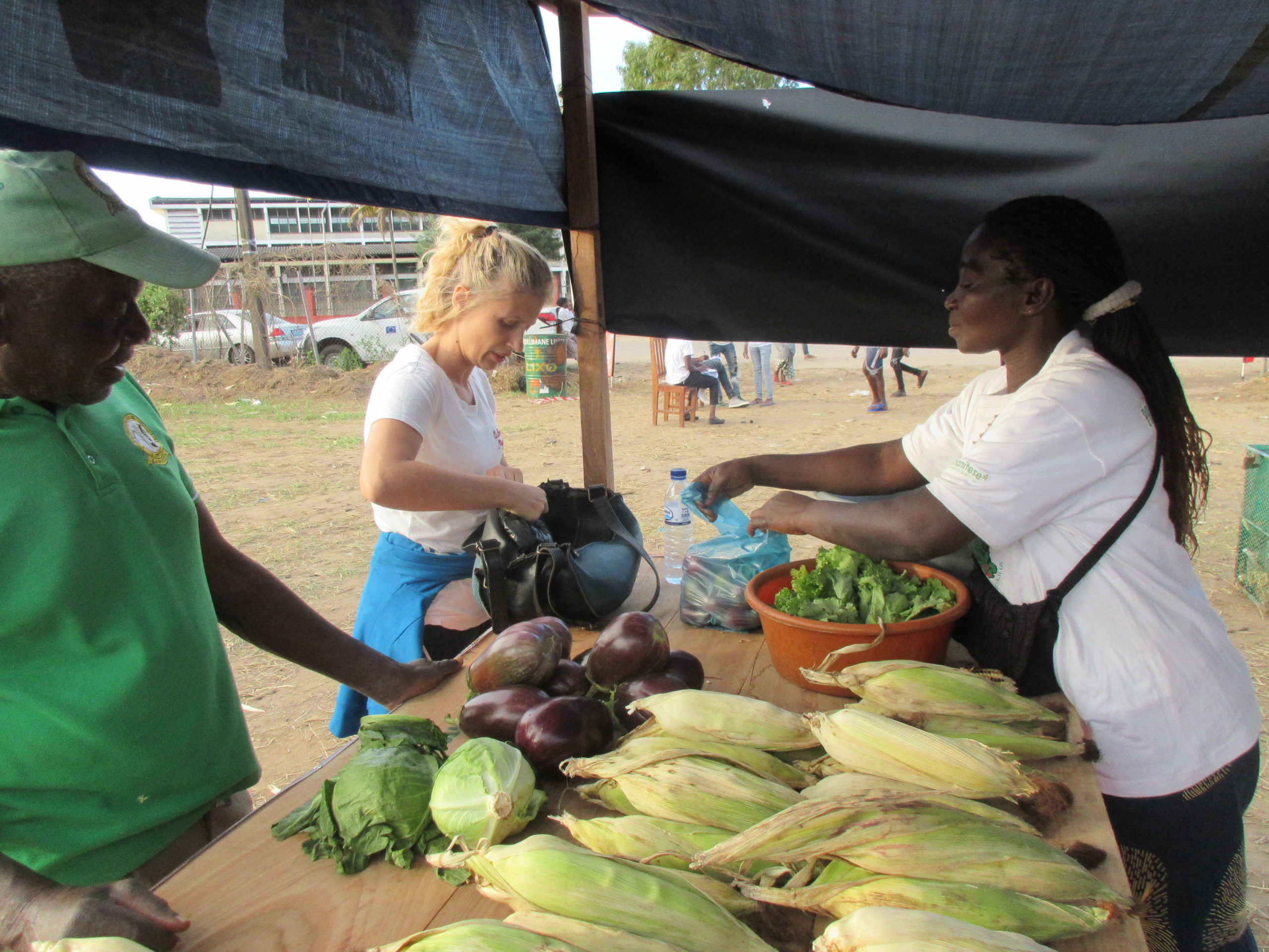 feira mozambico mani tese 2019