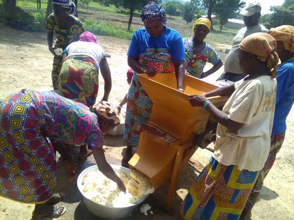 PASSAGE-DU-MANIOC-A-LA-RAPEUSE-1