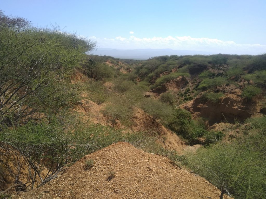 baringo-erosione-mani-tese-2020