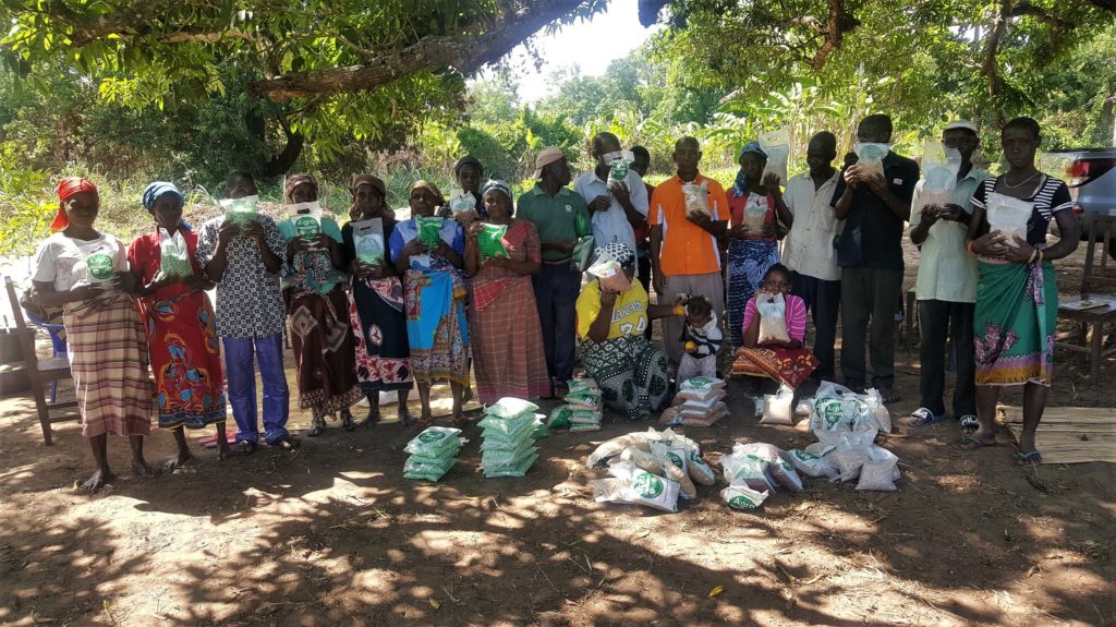 in mozambico le piogge non fermano attività agricola mani tese 2020