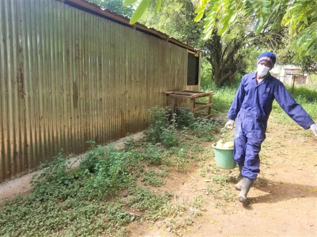 telephone farming la formazione rurale in kenya ai tempi del coronavirus_mani tese 2020