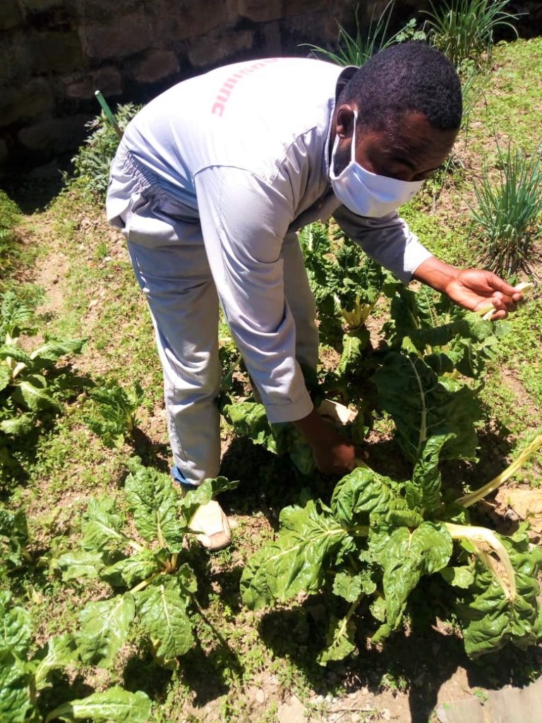 telephone farming la formazione rurale in kenya ai tempi del coronavirus_mani tese 2020_2