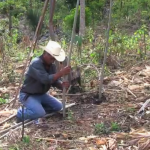 GUATEMALA, LA VITA DOVE REGNA LA SICCITÀ