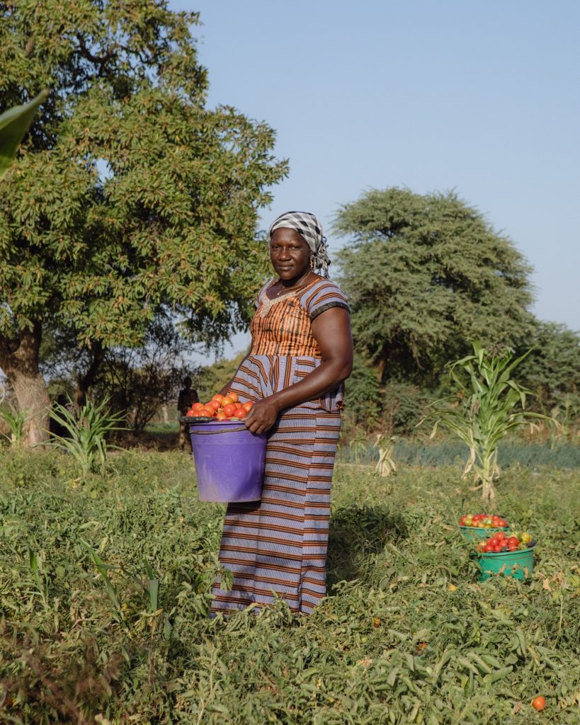 beog neere sarina pomodori burkina faso mani tese 2020
