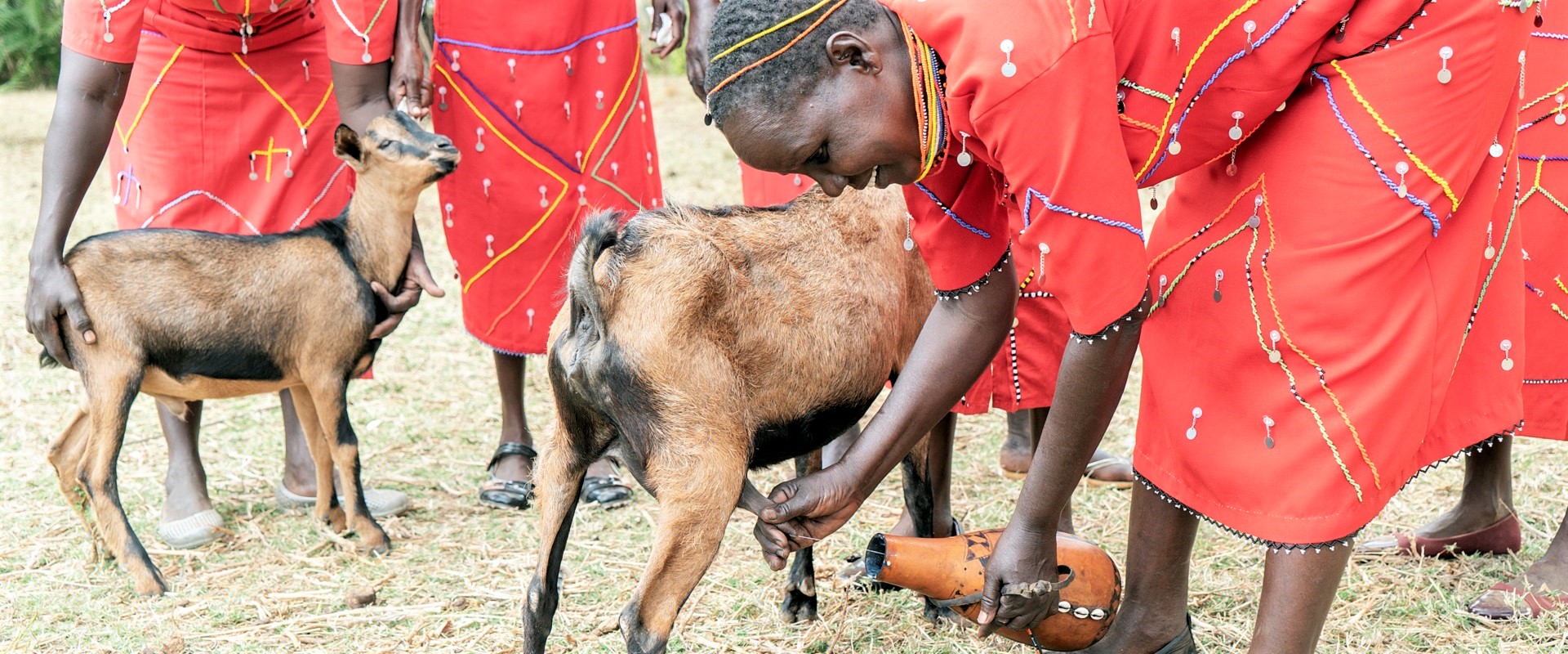 progetto maziwa kenya capra latte mani tese 2021