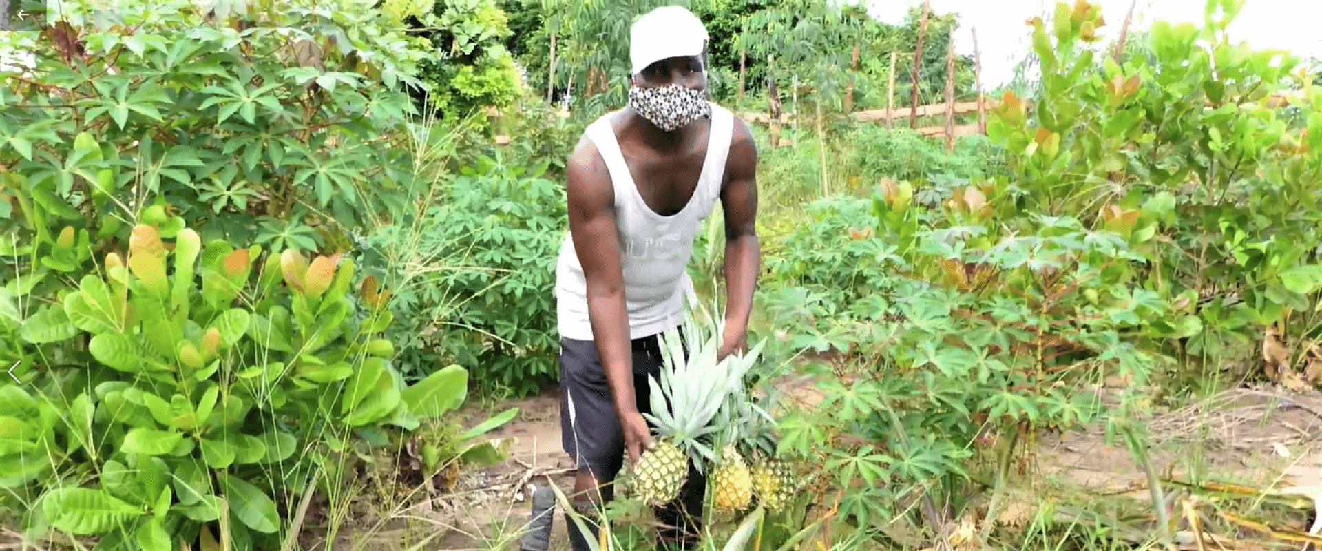 antonio alberto ubre quelimane agricola mani tese 2021
