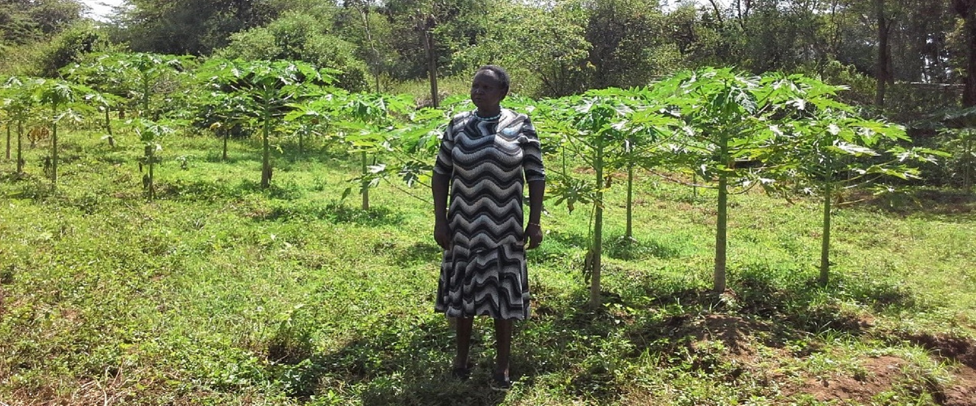 hellen sinyati women group kenya mani tese 2021