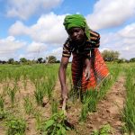 UN GIORNO IN MISSIONE SUL CAMPO IN BURKINA FASO