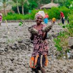 In Mozambico proteggiamo le foreste di mangrovie