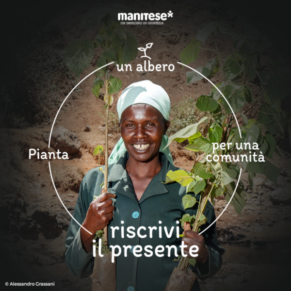 Regala un albero - immagine 2