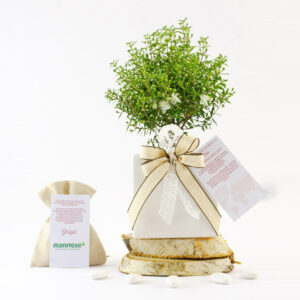 Bomboniera vaso ceramica bianca small